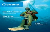Hold the Mercury - Oceana · World champion diver Martin Stepanek joins Oceana Hold the Mercury ... did you become interested in diving? My mom used to be a competitive swimmer, so