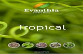 Tropical - HortiContact...“Opportunities don’t happen. You create them.” Discover all of our unique products in this catalog. Nico Grootendorst n.grootendorst@evanthia.nl