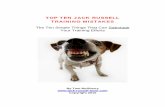 TOP TEN JACK RUSSELL TRAINING MISTAKES · Also, your dog may be better motivated by something other than food treats. There are other ways to motivate your dog more effectively depending