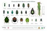 EAB Look-Alikes Chart Revised 2016-3200px · 2020. 7. 14. · Title: EAB Look-Alikes Chart Revised 2016-3200px.jpg Author: jkalisch1 Created Date: 6/16/2016 4:35:59 PM