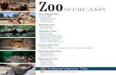 WEBCAMS - Independence Title - Leafcutter Ant Cam - Rhino Yard Cam - Chimp Window Cam Cincinnati Zoo Home Page - Home Safari Facebook Lives, Everyday at 3pm Kansas City Zoo Home Page