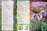 July Bloomers Cont.: U.S Fish & Wildlife Service Necedah checklist.pdfAugust Bloomers: __ Rough blazing-star __ Showy goldenrod __ Small-flowered false foxglove U.S Fish & Wildlife