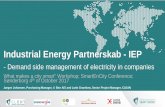 Industrial Energy Partnerskab - IEP SDSD · SDSD Industrial Energy Partnerskab - IEP - Demand side management of electricity in companies What makes a city smart" Workshop; SmartEnCity