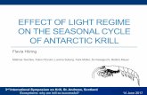 EFFECT OF LIGHT REGIME ON THE SEASONAL CYCLE OF … · Carapax length Thorax ! Gender and sexual maturity stage Thelycum (female) Petasma (male) Photos: Fabio Piccolin Hypothesis