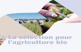 La sélection pour l’agriculture bio · mière variété bio il y a trois ans, le ray-grass italien Rabiosa. Dans les autres cultures, la part du travail de sélection qui est ...