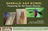 Preparing for the Green Menace - Town of Groton · 2019. 4. 8. · 2015 in Worcester County (Worcester) ... replanting, wood utilization Monitoring and reporting Resources, needs,