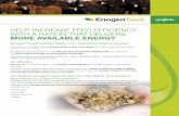 HELP INCREASE FEED EFFICIENCY WITH A RATION THAT … · 2019. 12. 11. · Enogen® Feed hybrids: Better corn hybrids for beef producers. If you grow corn to feed cattle, a simple
