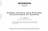 Public Policy and Private Investment in Turkey · Turkey is an interesting country for studying attractive hedge against inflation. Unless how public policy can stimulate private