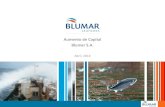 Aumento de Capital Blumar S.A. · 2019. 9. 16. · Características de la colocación 3 Emisor Blumar S.A. Tipo de oferta Oferta primaria de acciones Acciones suscritas y pagadas