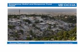 Emergency Relief and Response Fund Haiti · Emergency Response Fund – Haiti Annual Report 2010 Executive Summary Haiti faced an unprecedented disaster on 12 January 2010 with the
