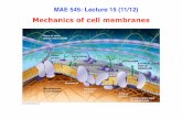 MAE 545: Lecture 15 (11/12) - Princeton Universityakosmrlj/MAE545_F2015/lecture15_slides.pdf · MAE 545: Lecture 15 (11/12) Mechanics of cell membranes. 2 “chap11.tex” — page