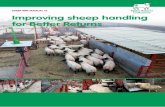 SHEEP BRP MANUAL 13 Improving sheep handling for Better ... · The Sheep Better Returns Programme is grateful to all those who have commented and contributed to this publication.