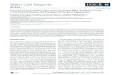 Stem Cell Reportsko.cwru.edu/publications/Wilk.pdfthe sutures, are required for regeneration of calvarial bone defects, and are dispensable for postnatal calvarial development. RESULTS
