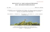 ISSN 2413-337X REVISTA NICARAGÜENSE DE BIODIVERSIDADel Pacífico Panameño por Angehr & Kushlan (2007), registran 171 nidos de Nyctanassa violacea en 12 sitios que abarcaron desde