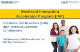 Medicaid Innovation Accelerator Program (IAP)...Organized Delivery system • Present the continuum of services under the Waiver and the waiver flexibilities • Recap the Lessons