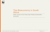 The Bioeconomy in South Africa - GreenCape · WWF inputs for the GreenCape Waste beneficiation workshop. ... possible, the better value from a product. Use 2 Use k ality Use k+1 Utilization