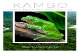 Kambo - Meehl Foundation€¦ · Kambo in a way that is unparalleled in pharmeceutical medicine. Due to a combination of synergetic compounds, Kambo has the ability to cross the blood-brain