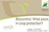 Biocontrol: What place in crop protection? · Active substances Commercial products Uses General treatments Coniothyrium minitans CONTANS WG Sclerotinia sclerotiorum Bacillus thurengiensis