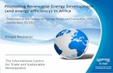 Promoting Renewable Energy Development (and energy ...€¦ · –Financing gap of $35 billion •Energy by far Africas biggest infrastructure challenge ... by the Cahora Bassa Dam.