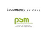 Soutenance de stage - portfolio.retrodev.net · Soutenance de stage Par Antonin Segault Université de Franche Comté UFR STGI – département multimédia. UFC / STGI / L3 SLIC PSM