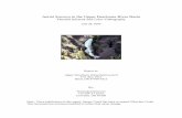 Aerial Surveys in the Upper Deschutes River Basin Thermal ...€¦ · 28/07/2000  · Thermal Infrared and Color Videography . July 28, 2000 . Report to: Upper Deschutes Watershed
