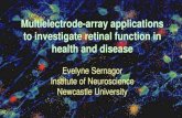 Multielectrode-array applications to investigate retinal ... · Evelyne Sernagor Institute of Neuroscience Newcastle University. Newcastle Gerrit Hilgen, John Barrett, Cyril Eleftheriou