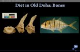 Diet in Old Doha: Bones · og ”Sted og dato”: Klik i menulinjen, vælg ”Indsæt” > ”Sidehoved / Sidefod”. Indføj ”Sted og dato” i feltet for dato og ”Enhedens navn”