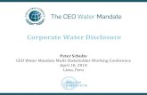 Corporate Water DisclosureLima2014).pdf · Corporate Water Disclosure Peter Schulte CEO Water Mandate Multi-Stakeholder Working Conference April 10, 2014 Lima, Peru . ... •Institute