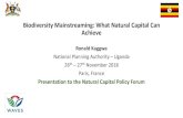 Biodiversity Mainstreaming: What Natural Capital Can Achieve · Biodiversity Mainstreaming: What Natural Capital Can Achieve Ronald Kaggwa ... Feasibility for Biodiversity Accounting