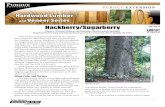 Hardwood Lumber and Veneer Series: Hackberry/Sugarberry · Hardwood Lumber and Veneer Series Daniel L. Cassens, Professor and Extension Wood Products Specialist Department of Forestry