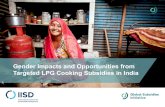 Gender Impacts and Opportunities from Targeted LPG Cooking ...fffsr.org/wp-content/uploads/2019/07/...IndiaLPG.pdf · • Households must obtain an LPG “connection”—that is,
