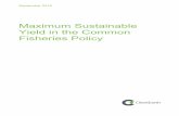 Maximum Sustainable Yield in the Common Fisheries Policy€¦ · "The Common Fisheries Policy shall apply the precautionary approach to fisheries management, ... 10 Communication