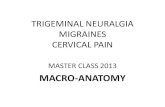 TRIGEMINAL NEURALGIA MIGRAINES CERVICAL PAIN · 2013. 11. 8. · along the trigeminal nerve branches. Inject these tender sites using 0.5 ml of D5W. If completely pain-free, pathology