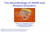 The Neurobiology of ADHD and Related Disorders webinars/The... · Amy F.T. Arnsten, Ph.D. Professor of Neurobiology . Yale University School of Medicine . amy.arnsten@yale.edu . Disclosure: