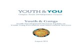 Youth & Gangs · 2016. 7. 20. · 3"|"P"a"g"e" Youth"Development"Division"Update"onYouth"Gang"Preventionand"Intervention"Services,"2015" Oregon’Youth’Development’Council" that