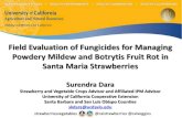 Field Evaluation of Fungicides for Managing Powdery Mildew ...cesantabarbara.ucanr.edu/files/157090.pdf · Field Evaluation of Fungicides for Managing Powdery Mildew and Botrytis