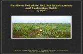 Northern Bobwhite Habitat Requirements and Evaluation ...pods.dasnr.okstate.edu/docushare/dsweb/Get/... · Issued in furtherance of Cooperative Extension work, acts of May 8 and June