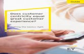 Does customer centricity equal great customer experience?cdn.ey.com/echannel/ie/en/services/advisory/... · Embed a VOC (Voice of the Customer) programme across the organisation;