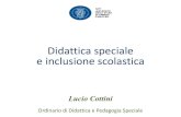 Didattica speciale e inclusione scolastica Cottini.pdf · cognitive e metacogni-tive Strategie di intervento sui bisogni speciali degli allievi Strategie cooperative Clima e gestione