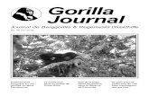 Gorilla Journal · R. D. CONGO 3 Gorilla Journal 46, juin 2013 Prélèvements sanguins sur les gorilles du Mont Tshiaberimu Au cœur d’un îlot boisé situé au Parc National des