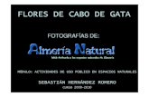 FLORES DE CABO DE GATA - EDUCARMservicios.educarm.es/.../websDinamicas/20/flores_de_cabo_de_gata.… · flores de cabo de gata fotografÍas de: mÓdulo: actividades de uso pÚblico