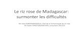 Le riz rose de Madagascar: surmonter les difficultésunctad.org/meetings/en/Presentation/aldc2014-12-16_PinkRice.pdf · Le riz rose de Madagascar • Association productrice: KOLOHARENA