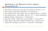 Summary of Muscle Innervation Proximal LE · L5,S1 REFLEXES 1.3,4 Sl.2 ) Hamstring Knee TieX (SCIatlC N IV), EHL toe ext (VH N.) Sl Hamstring (Sciatic N. tib div), Eversion PL/PB