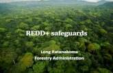 REDD+ safeguards€¦ · •UN-REDD: Social and Environmental Principles and Criteria (SEPC) 7 Principles and 24 Criteria Human rights based approach (e.g. FPIC) •World Bank FCPF: