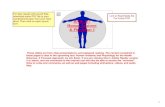 BIOL 237 Human Anatomy & Physiology I - Class Videos · Now that we have examined some basic principles important to human anatomy and physiology, we will apply these principles to
