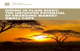 HIDING IN PLAIN SIGHT: THE UNTAPPED POTENTIAL OF …€¦ · 4 | Hiding in Plain Sight: The Untapped Potential of Emerging Market Small Caps RBC GAM Fundamental Series Relative Value