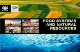 FOOD SYSTEMS AND NATURAL RESOURCES · Food systems and natural resources ‘food consumption system’ and hence the importance of trade and transport infrastructure. The share of