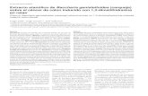 An Fac med. 2010;71(2):88-96 Extracto etanólico de ...dev.scielo.org.pe/pdf/afm/v71n2/a05v71n2.pdf · 88 An Fac med. 2010;71(2):88-96 Extracto etanólico de Baccharis genistelloides
