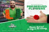 Home | Jet Fresh Flower Distributors | Wholesale Flower ...34.221.134.106/wp-content/uploads/2019/05/jf_preservedFlowers_m… · These real. cut flowers are first grown at the farm
