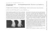 Workshop IV. Aetiopathogenetic factors in Reiter's ... · Ann. rheum. Dis. (1979), 38, Supplement p. 102 WorkshopIV. Aetiopathogenetic factors in Reiter's syndrome Adjuvantdisease: